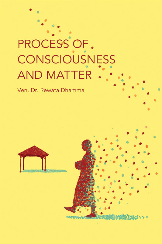 Process of Consciousness and Matter (PDF, ePub, Mobi eBooks)