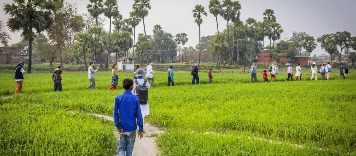A monk walking through fields