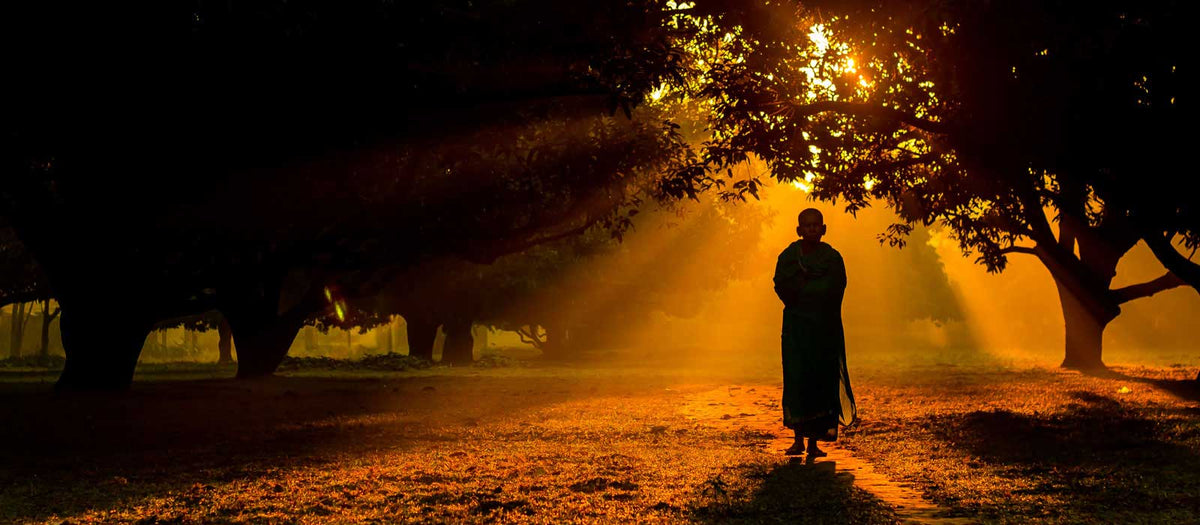 A monk walking in the light of sunrise